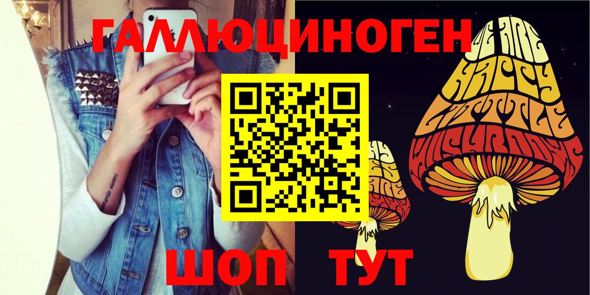 Шатура  Псилоцибиновые грибы GOLDEN TEACHER  Псилоцибиновые грибы Magic Shrooms  Вход с VPN 